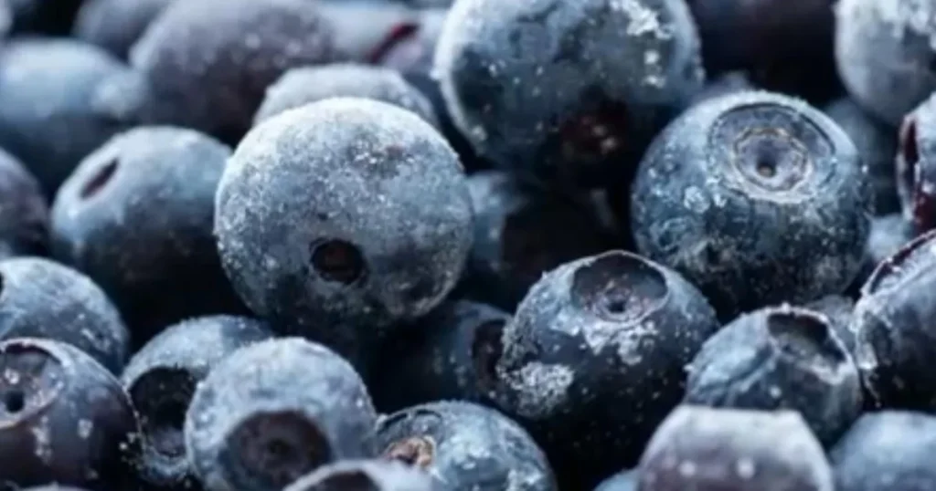 Blueberries and Mixed Berries Sold at Publix Stores Nationwide Recalled Over Possible E. Coli Contamination Concerns, CBS News Says