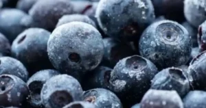 Blueberries and Mixed Berries Sold at Publix Stores Nationwide Recalled Over Possible E. Coli Contamination Concerns, CBS News Says