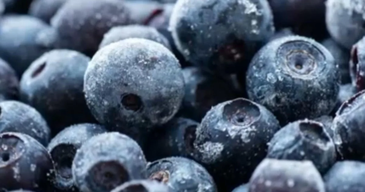Containers of blueberries and mixed berries tied to a recall notice at Publix stores